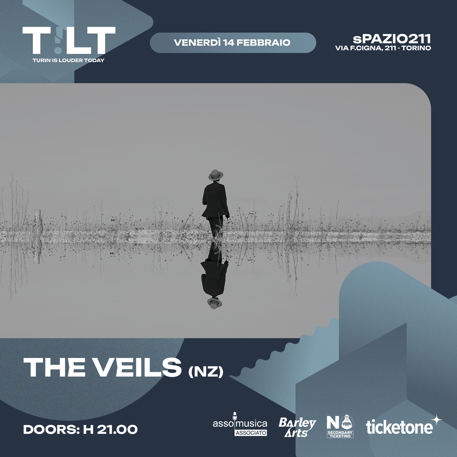 THE VEILS