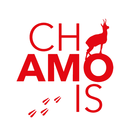 LOVE CHAMOIS